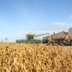 A combine harvester transfers soybeans to a truck during harvest on a sunny day in Paragominas, Brazil.